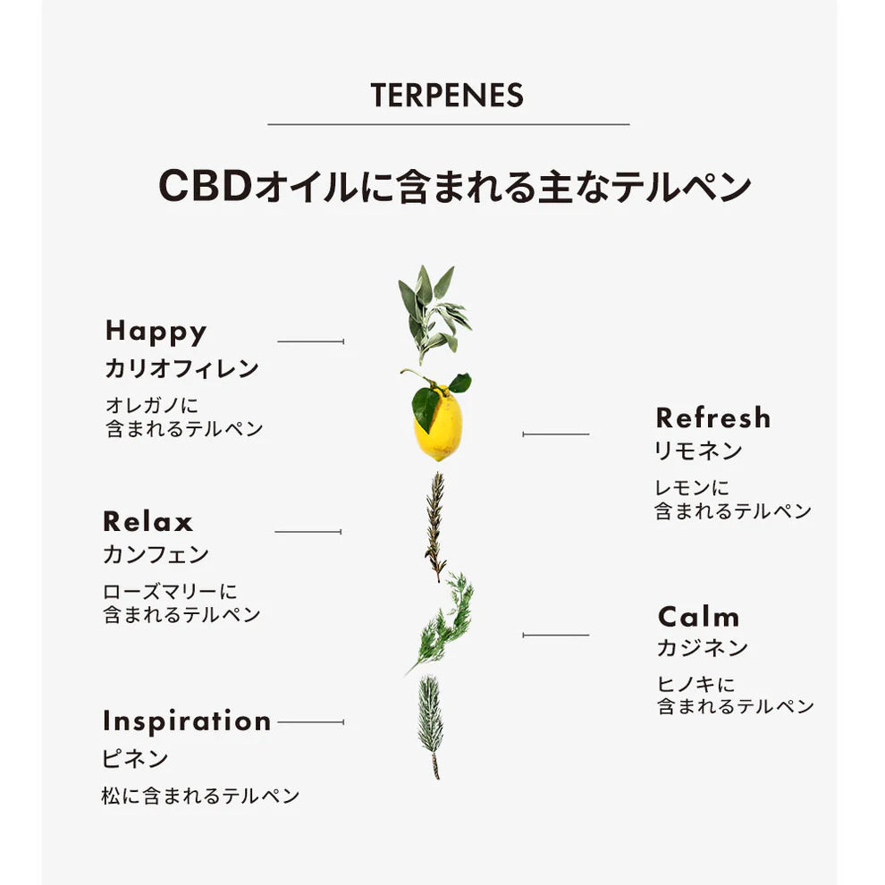 LILILALA CBDオイル10g CBD4000mg
