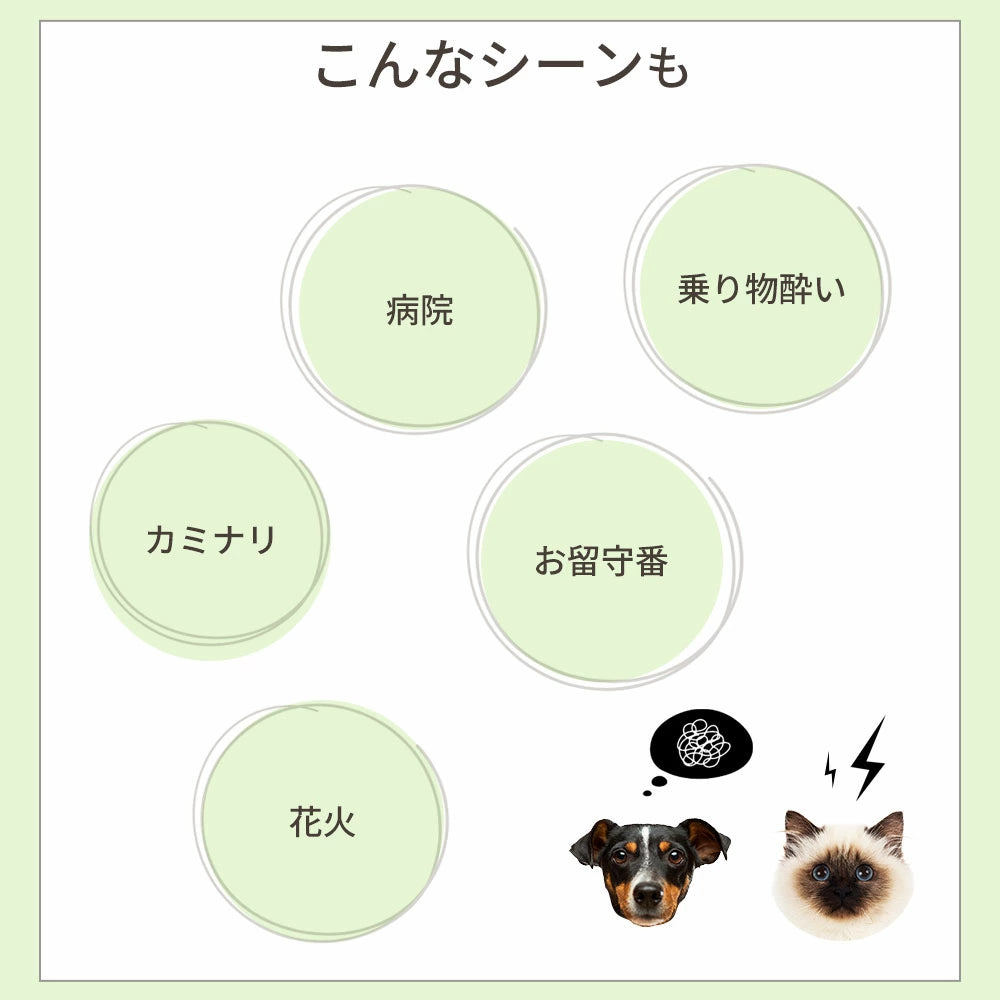 CBDオイル ペット用 30ml 4% 大型犬 用 CBD 1200mg CannaTech CBD OIL for Pets Healing