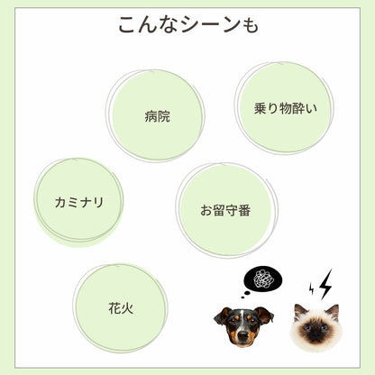 CBDオイル ペット用 30ml 4% 大型犬 用 CBD 1200mg CannaTech CBD OIL for Pets Healing