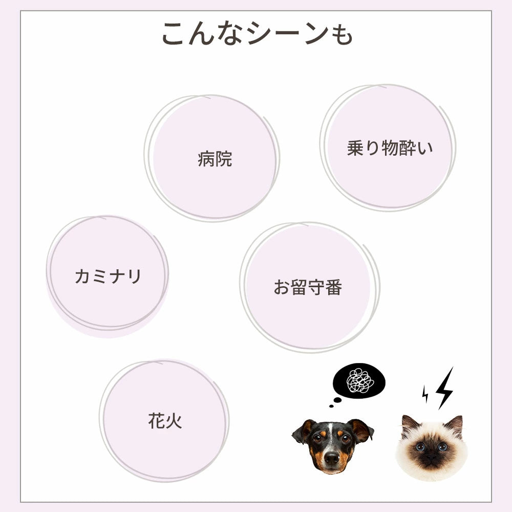 CBDオイル ペット用 10ml 1.2% 猫 用 CBD 120mg CannaTech CBD OIL for Pets Calm & Stress