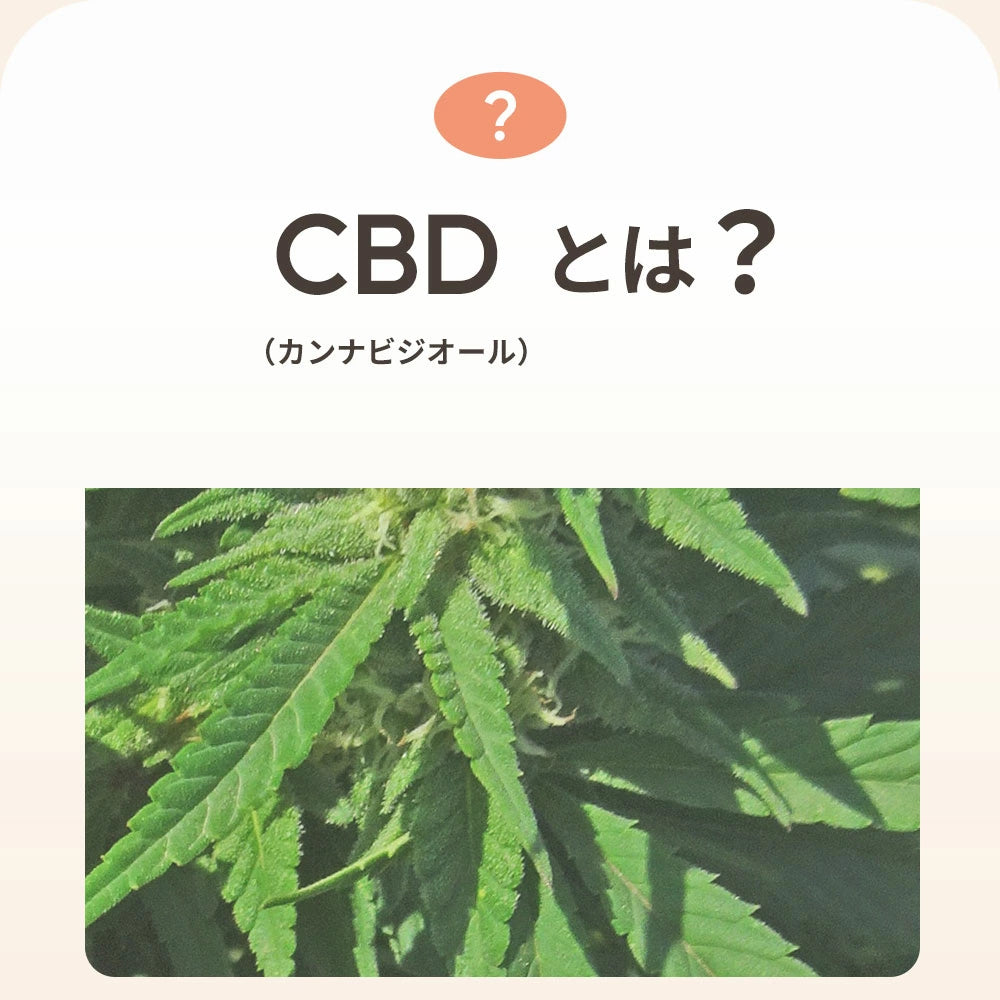 CBDオイル ペット用 10ml 1.2% 小型犬 中型犬 用 CBD 120mg CannaTech CBD OIL for Pets Calm & Stress