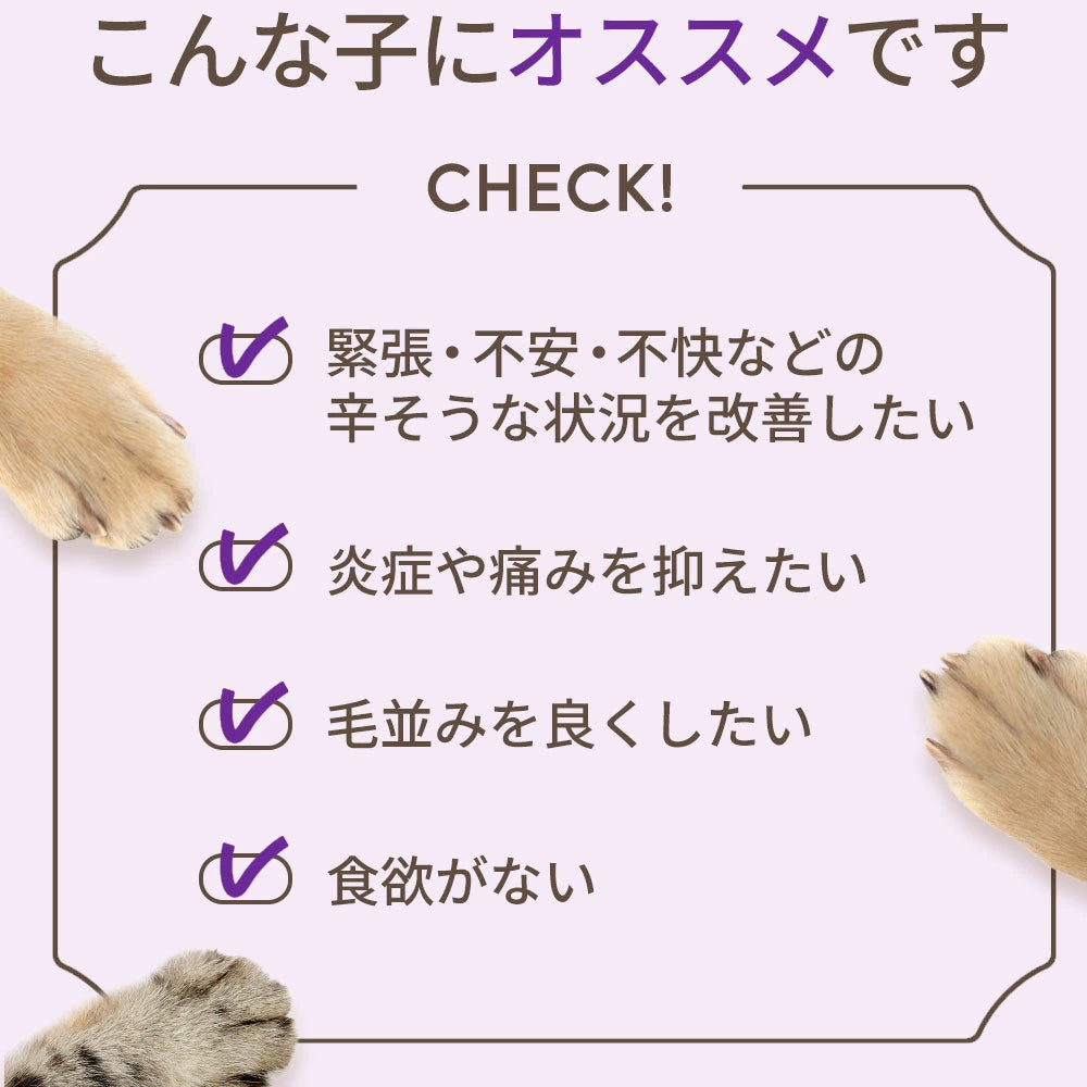 CBDオイル ペット用 10ml 1.2% 猫 用 CBD 120mg CannaTech CBD OIL for Pets Calm & Stress