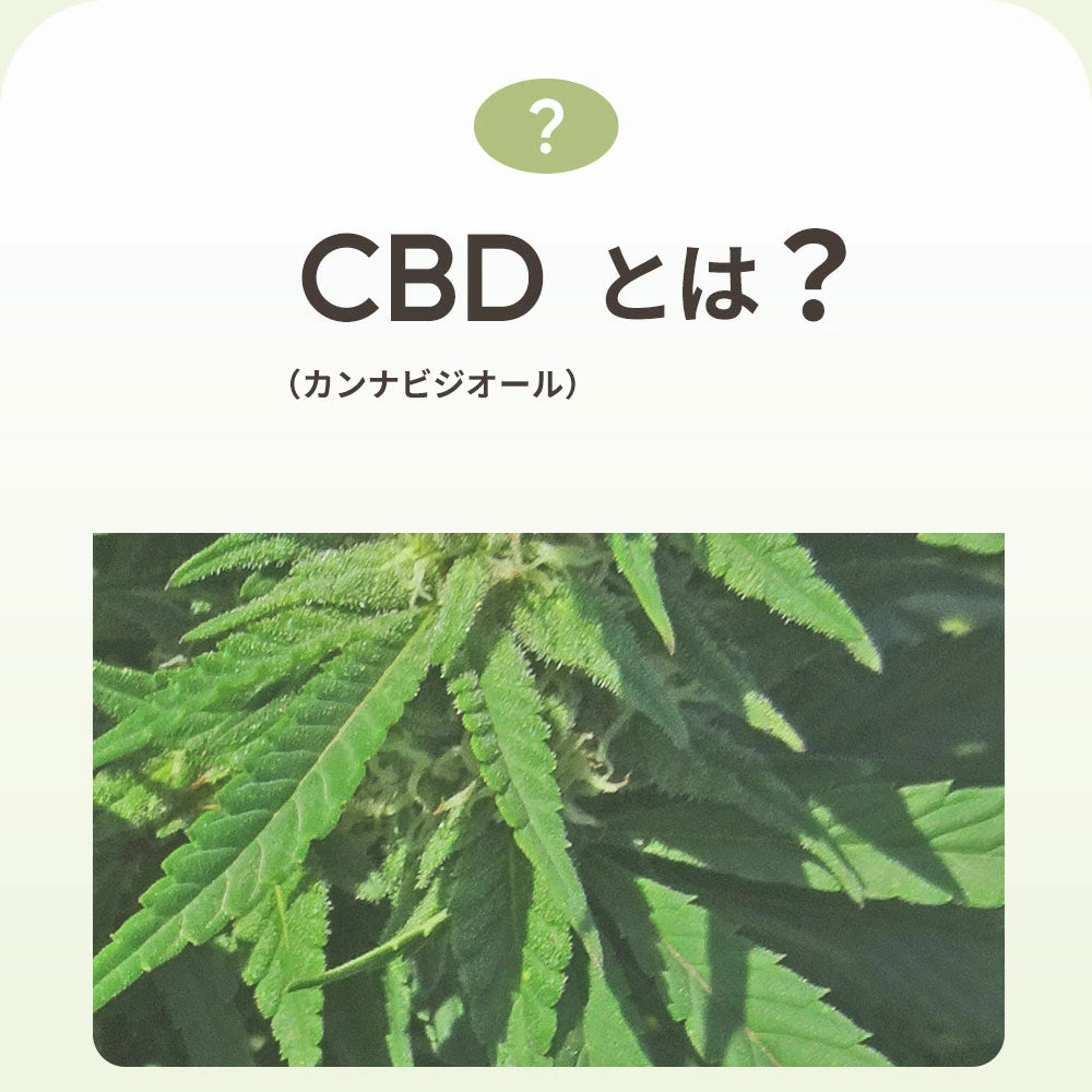 CBDオイル ペット用 30ml 4% 大型犬 用 CBD 1200mg CannaTech CBD OIL for Pets Healing