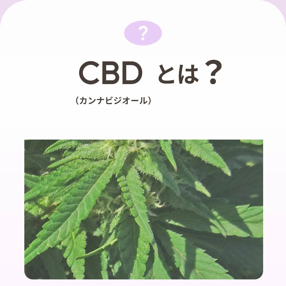 CBDオイル ペット用 10ml 1.2% 猫 用 CBD 120mg CannaTech CBD OIL for Pets Calm & Stress