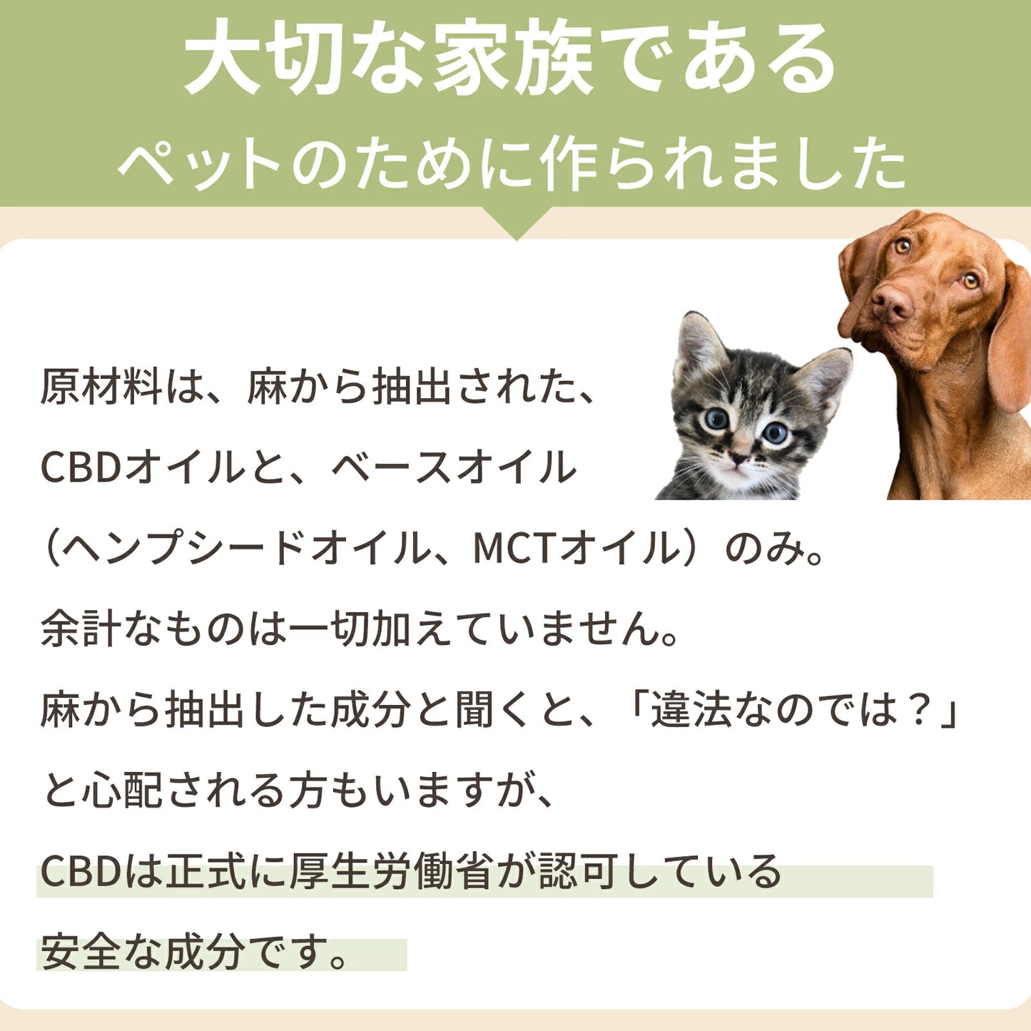 CBDオイル ペット用 30ml 4% 大型犬 用 CBD 1200mg CannaTech CBD OIL for Pets Healing