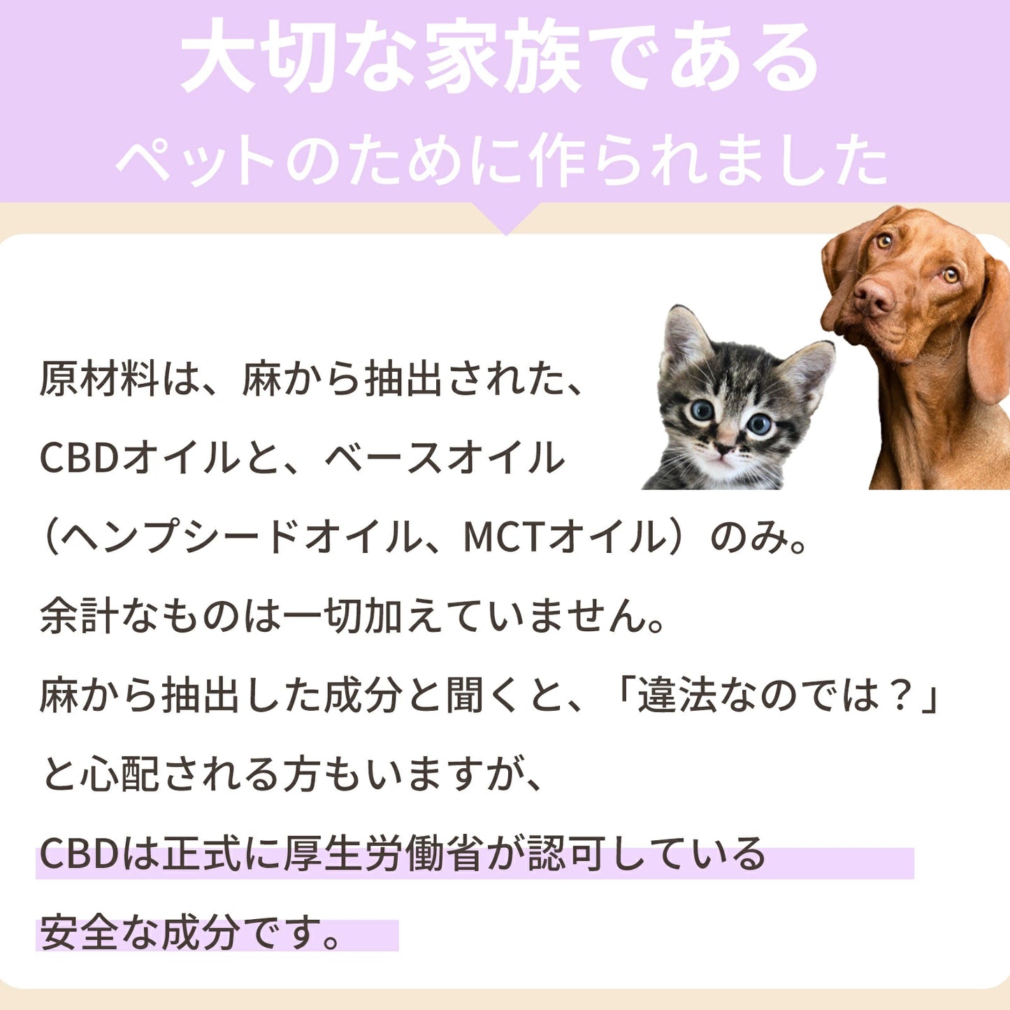 CBDオイル ペット用 10ml 1.2% 猫 用 CBD 120mg CannaTech CBD OIL for Pets Calm & Stress