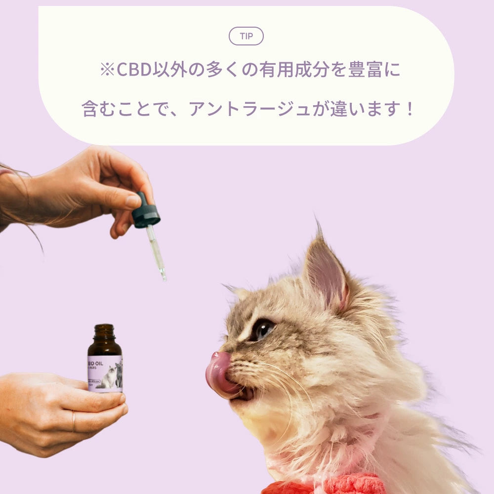 CBDオイル ペット用 10ml 1.2% 猫 用 CBD 120mg CannaTech CBD OIL for Pets Calm & Stress