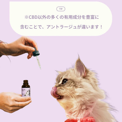CBDオイル ペット用 10ml 1.2% 猫 用 CBD 120mg CannaTech CBD OIL for Pets Calm & Stress