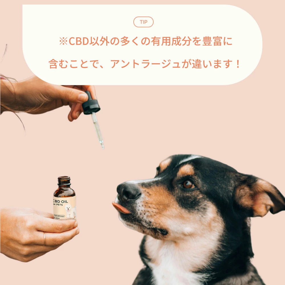 CBDオイル ペット用 10ml 1.2% 小型犬 中型犬 用 CBD 120mg CannaTech CBD OIL for Pets Calm & Stress